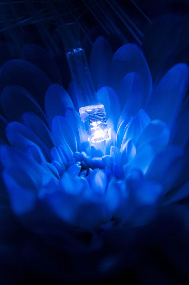 Photograph by Любовь Бусова