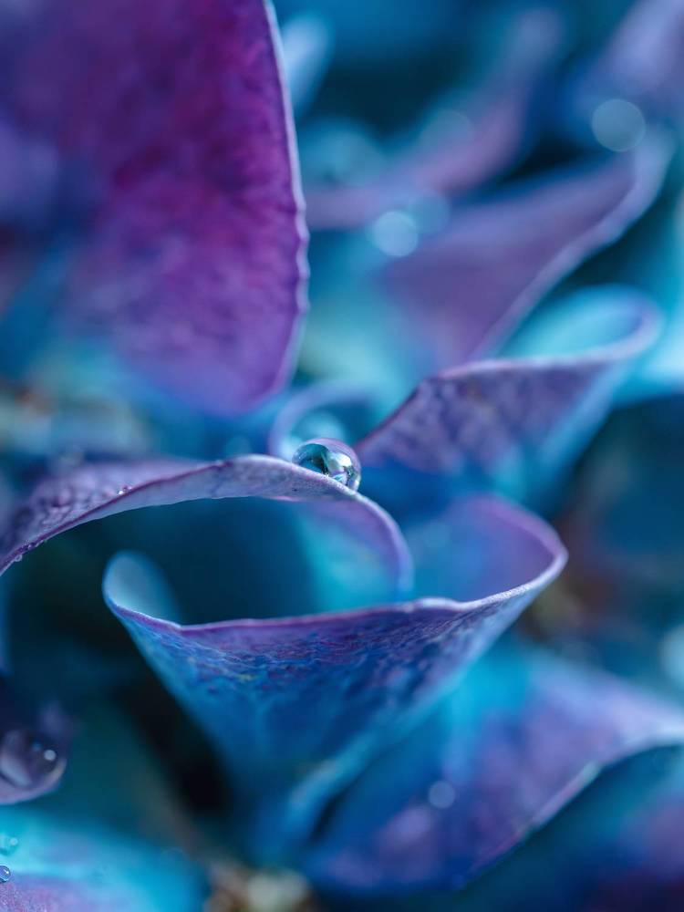 Photograph by Ирина Протченко