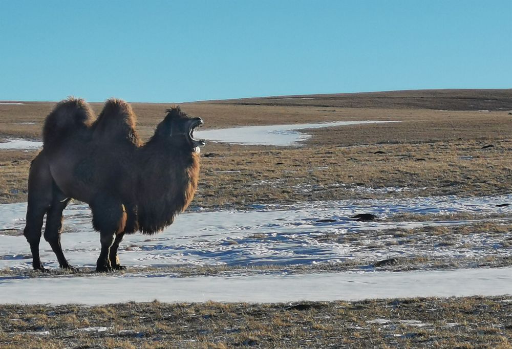 Фотография автора Шипунова Ирина