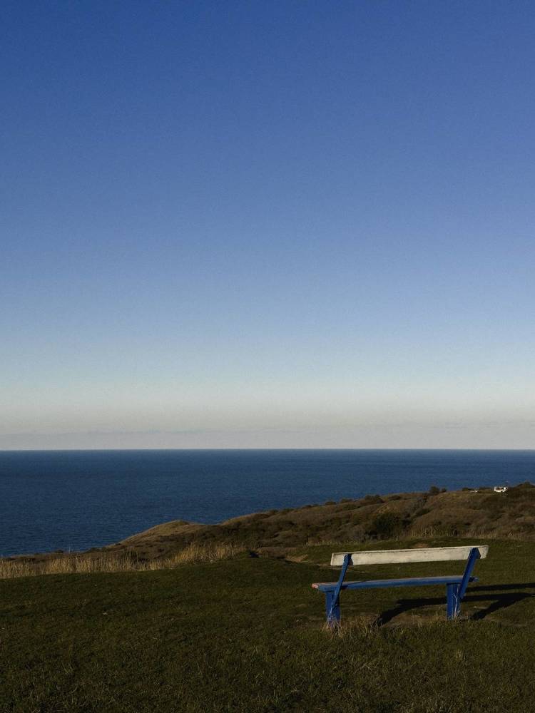 Photograph by Анна Голубцова