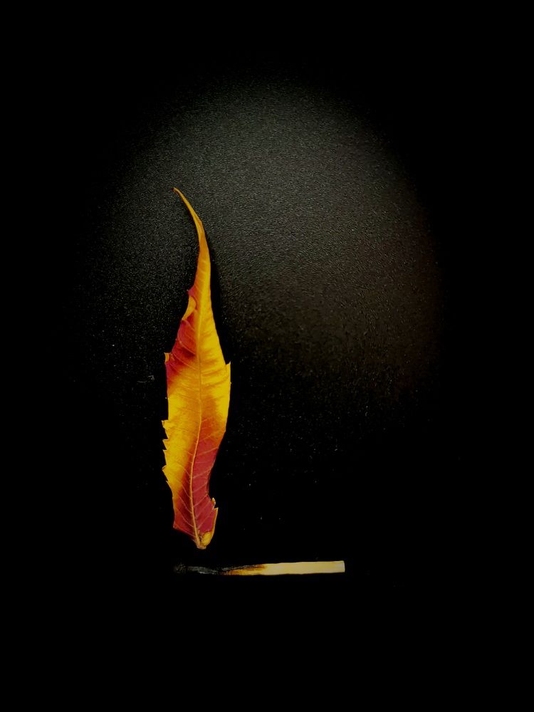 Photograph by Наталья Чурашова
