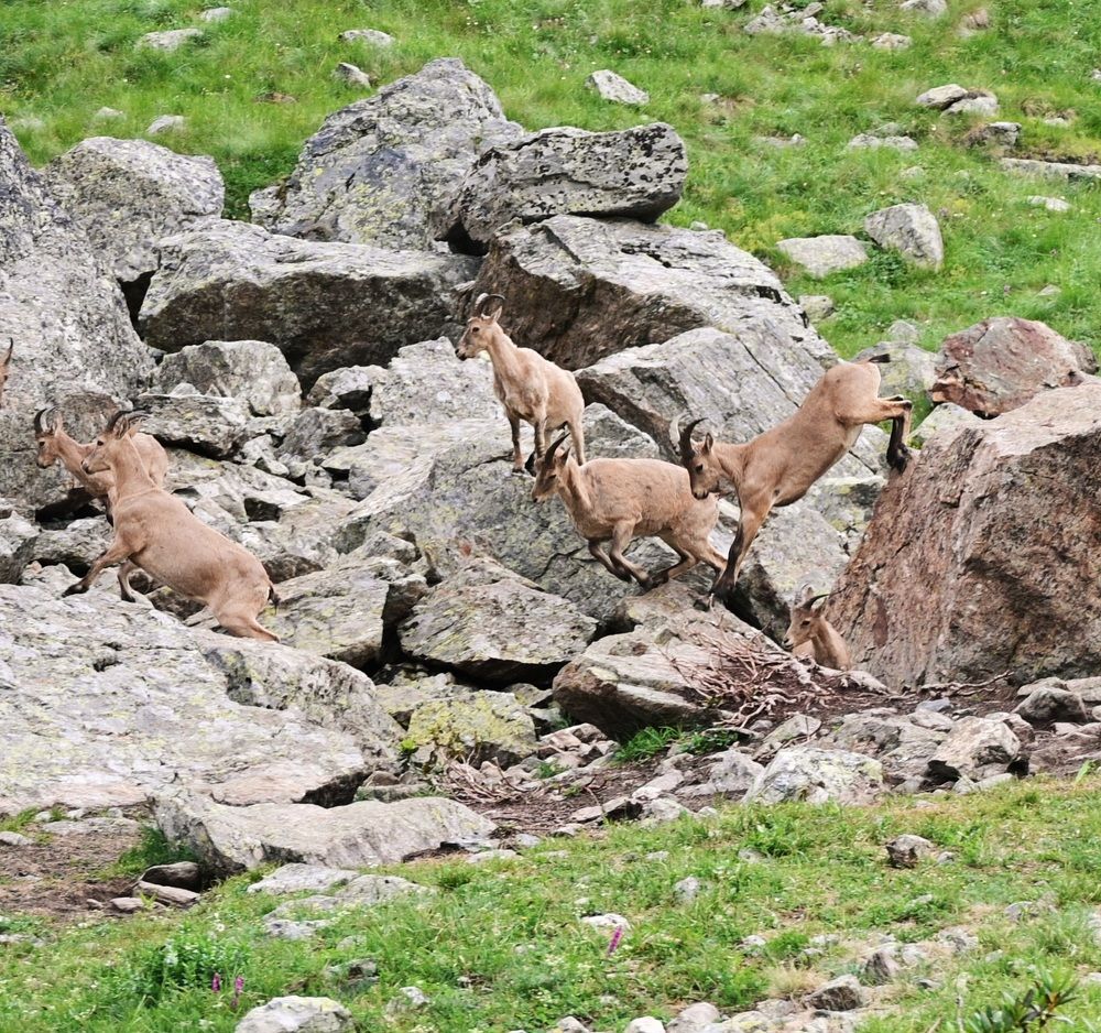 Photograph by Iva Ajva