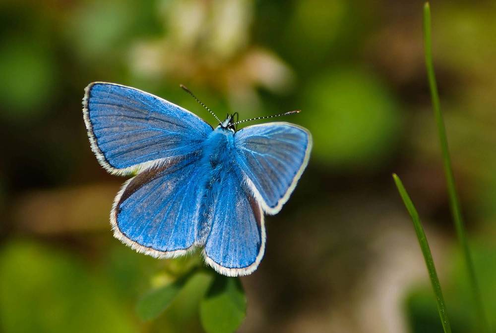 Photograph by Наталья Екимова