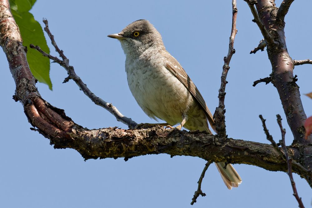 Photograph by Андрей Иванов