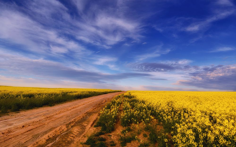 Photograph by Сергей Дишук