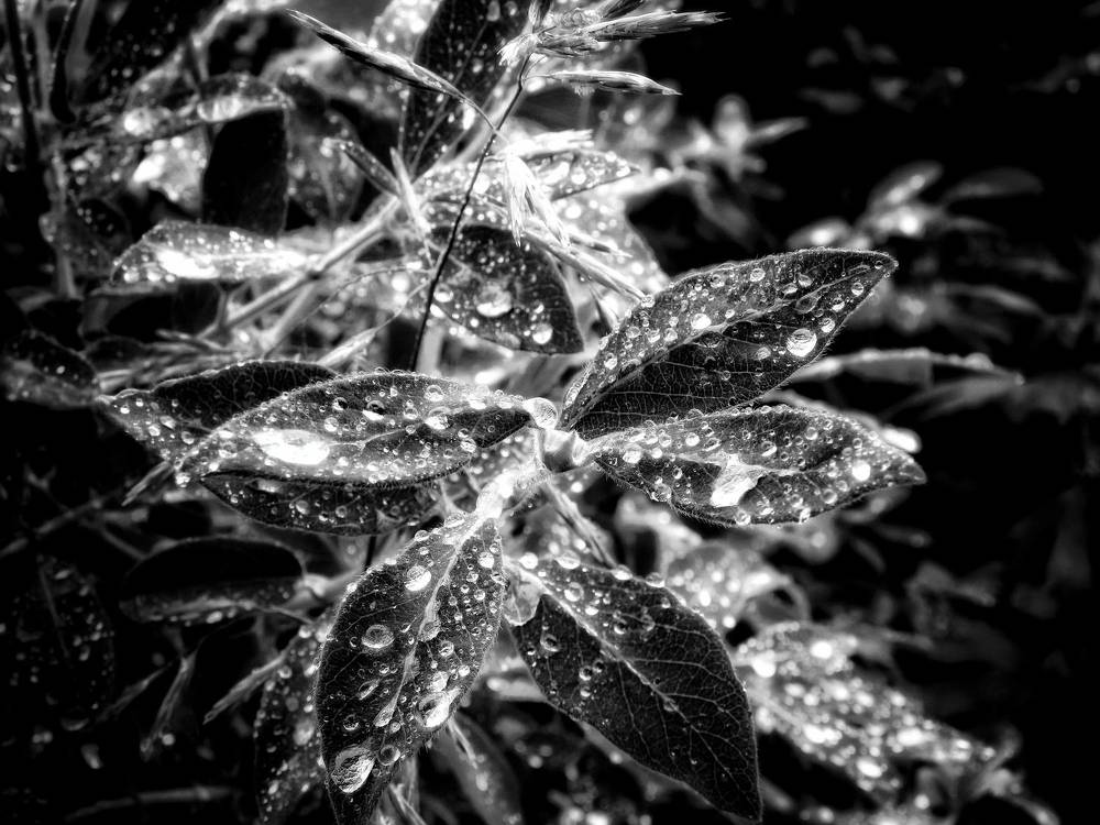 Фотография автора Екатерина Солохина