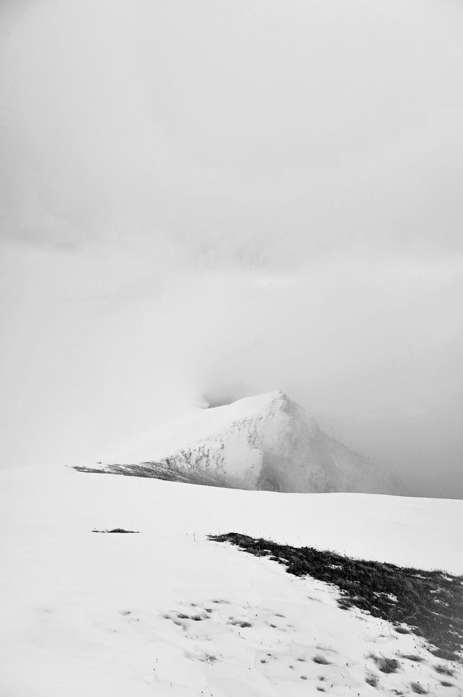 Photograph by Iva Ajva