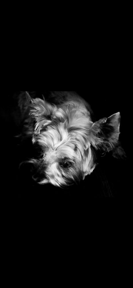 Photograph by Ирина Швейнова