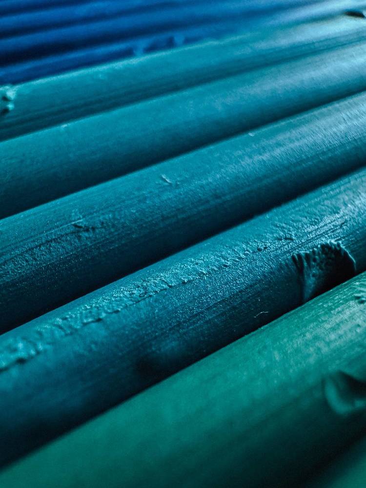 Photograph by Alina Polomoshnova