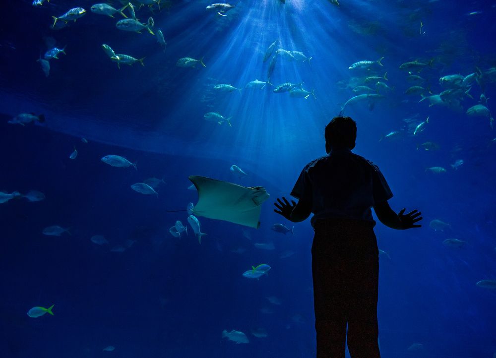 Photograph by Нина Хорева