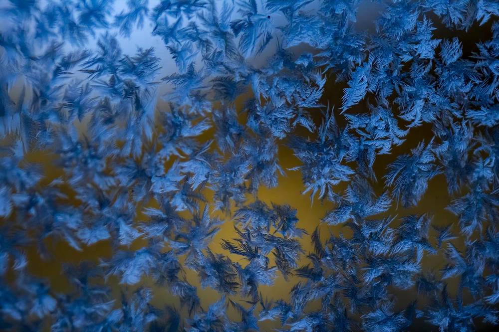 Photograph by Ирина Шибитова