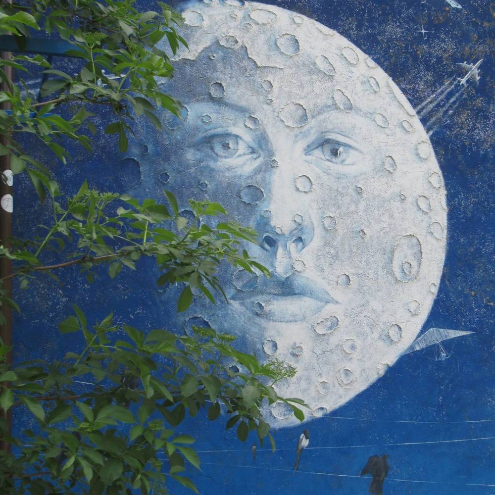 Photograph by Ирина Шведчикова