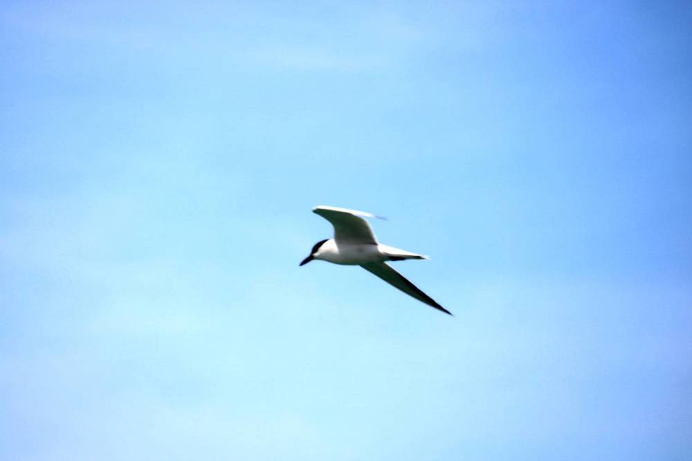 Photograph by Babak Akvan