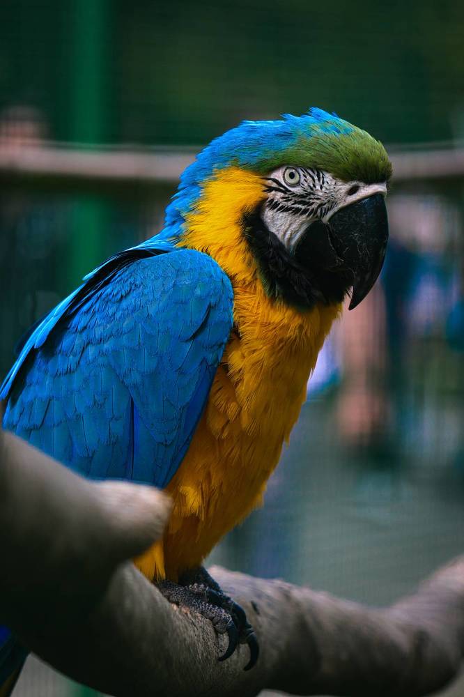 Photograph by Екатерина Нальгиева