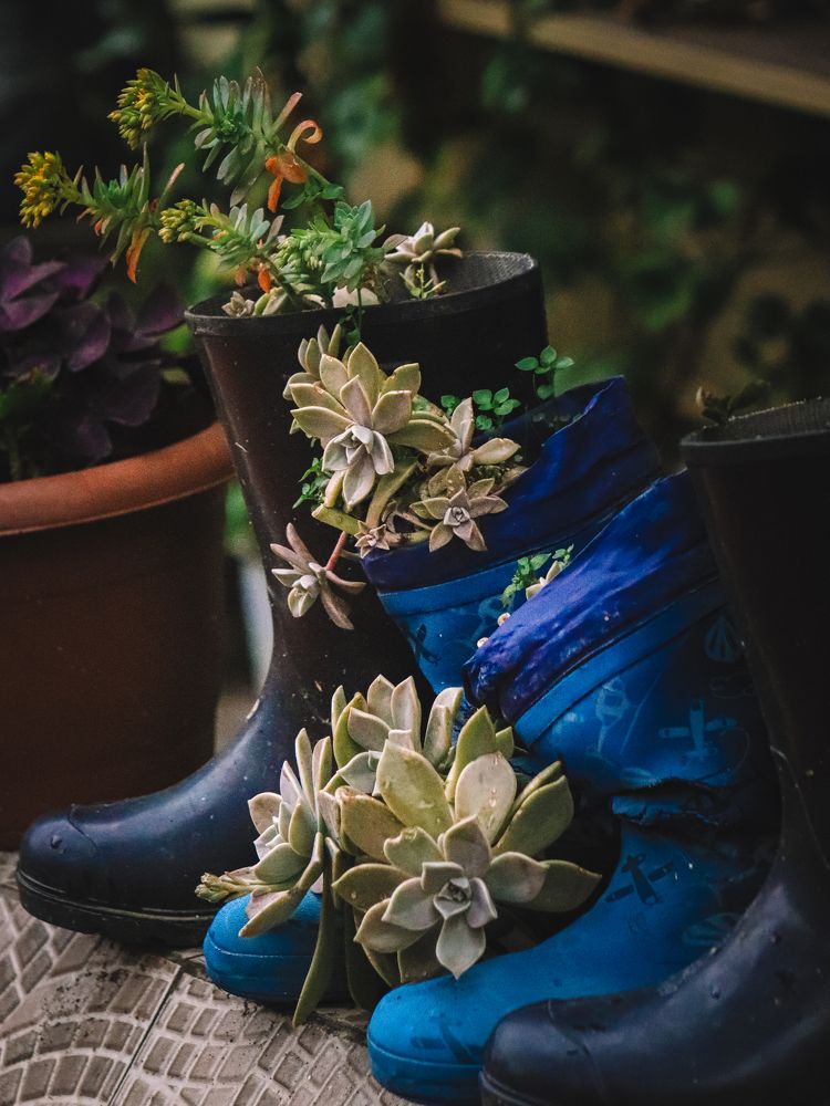 Photograph by Екатерина Нальгиева