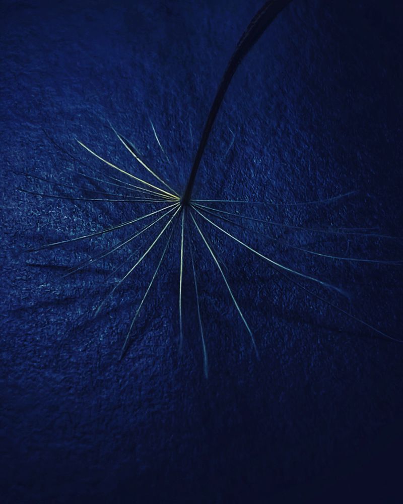 Photograph by Ольга Скиба