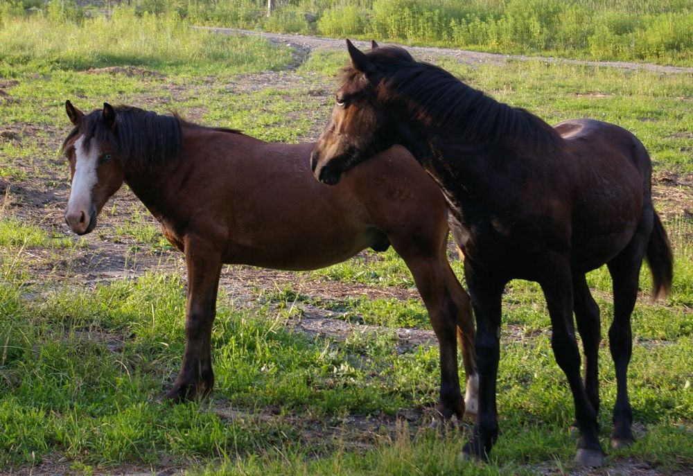 Photograph by Елена Алешкевич