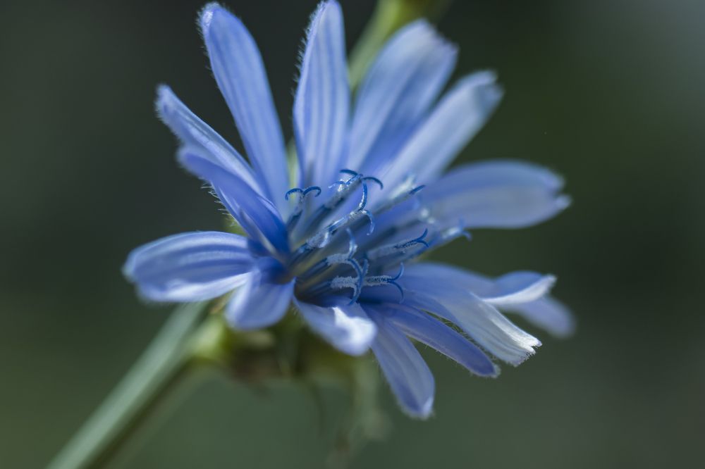 Photograph by Ирина Шибитова