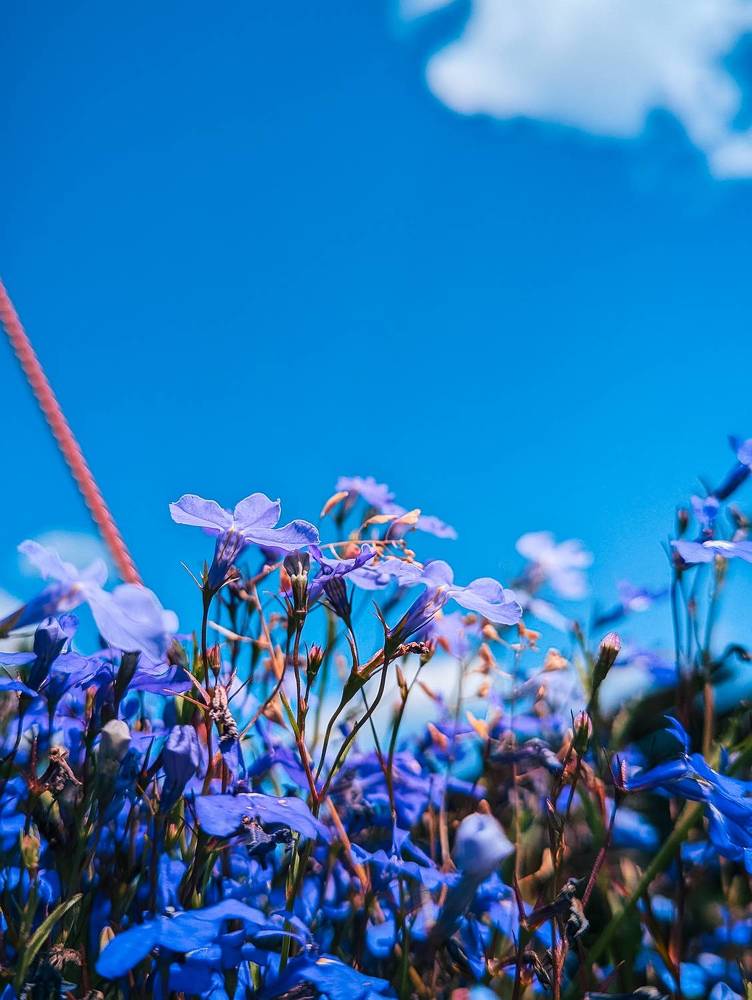 Фотография автора Мария Михайлова