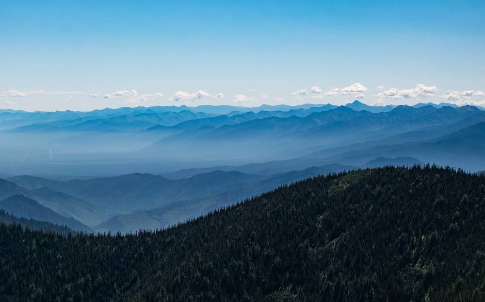Фотография автора Андрей Ильков