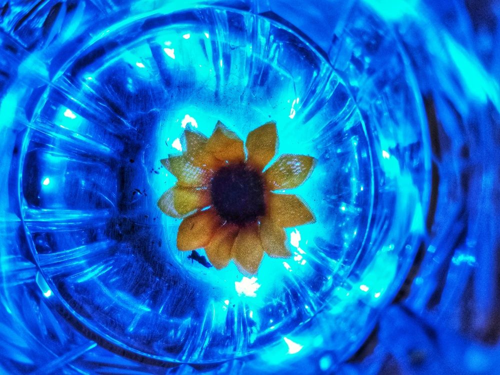 Photograph by Irina Luidinshina