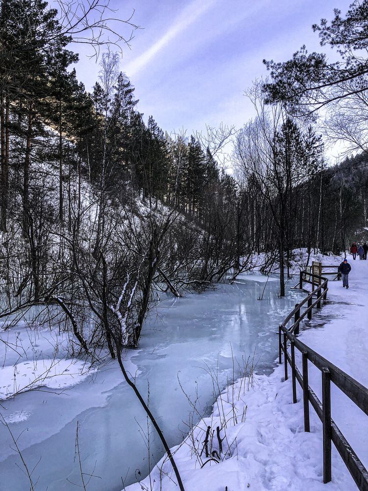 Фотография автора Светлана Гончарова