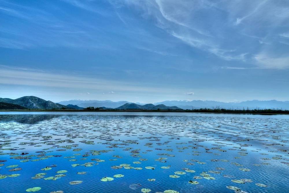 Фотография автора David Solodar