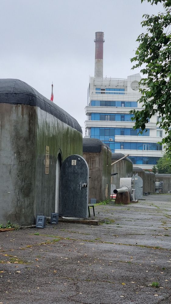 Photograph by Ольга Дёмина