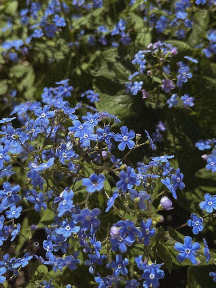 Photograph by Алиса Чугунова