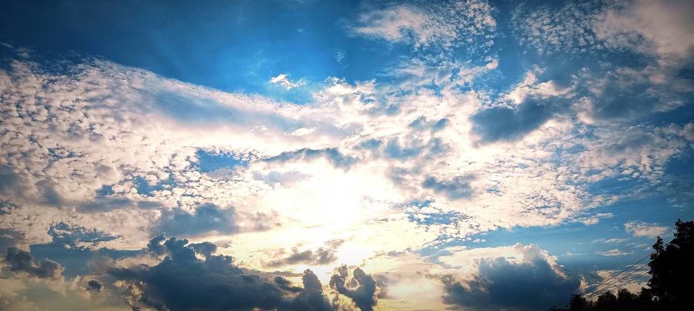 Photograph by Mishel Photographer