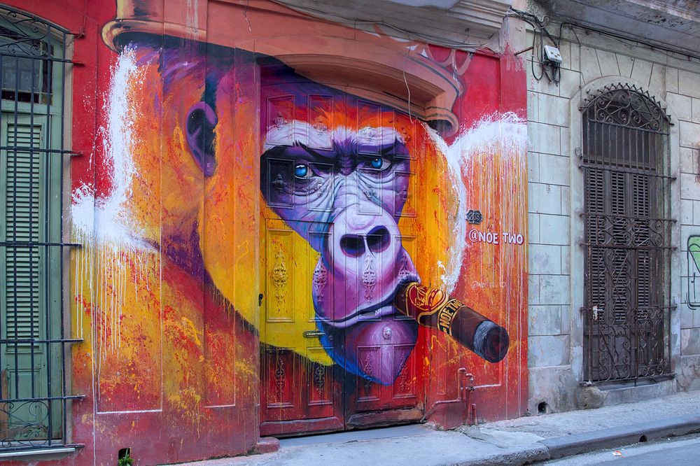 Фотография автора Aleksei Kartashov