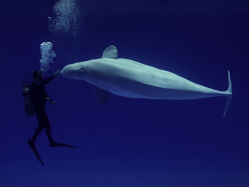 Photograph by Нина Хорева