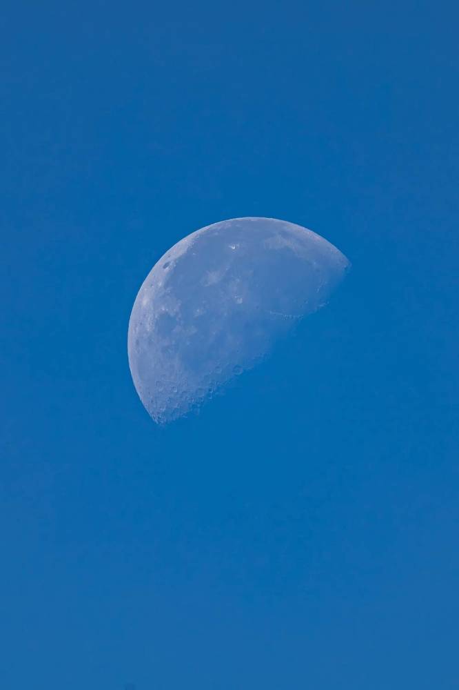 Photograph by Алексей Горин