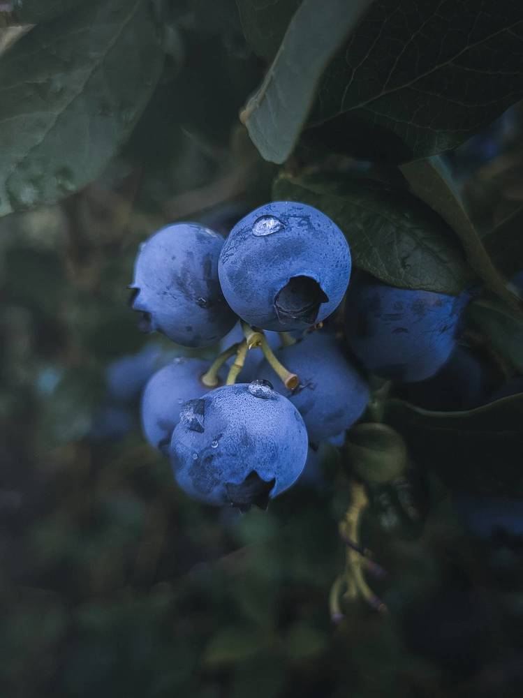 Photograph by Алексей Горин