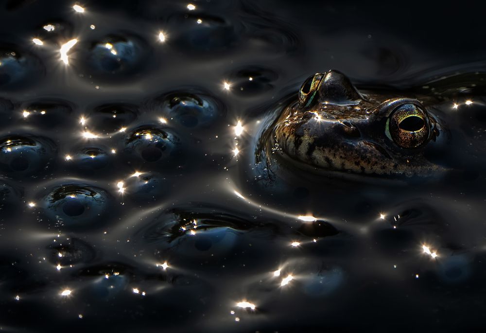 Photograph by Ольга Мусиенко