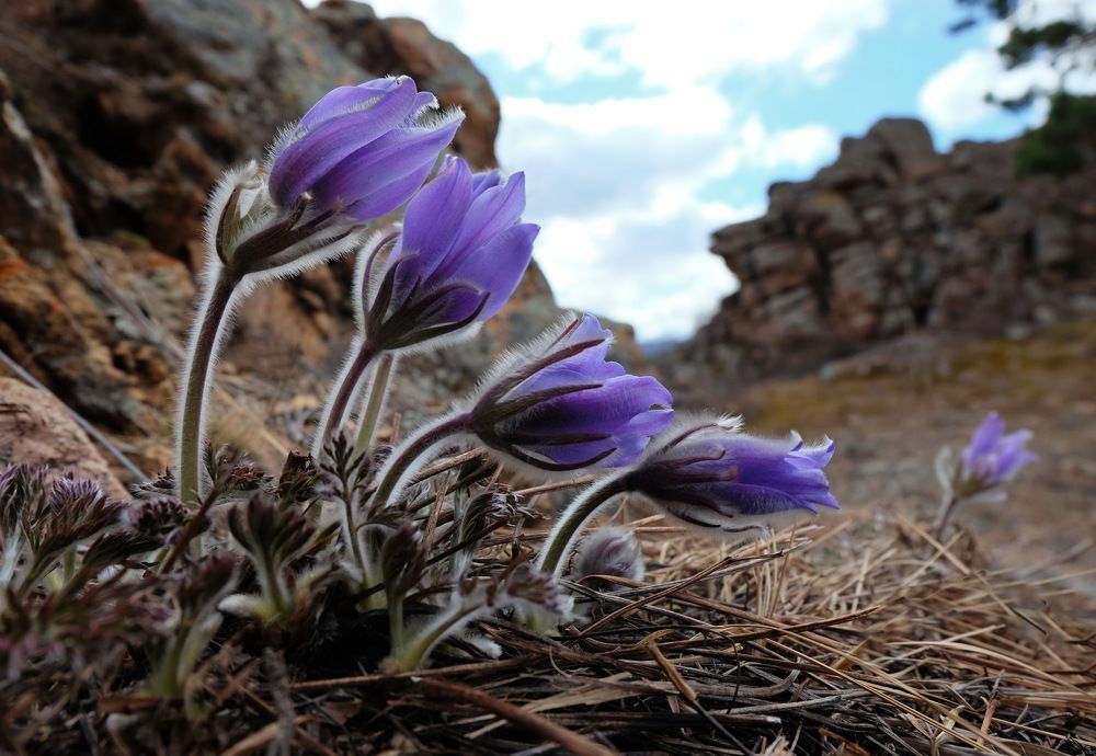 Фотография автора Андрей Ильков