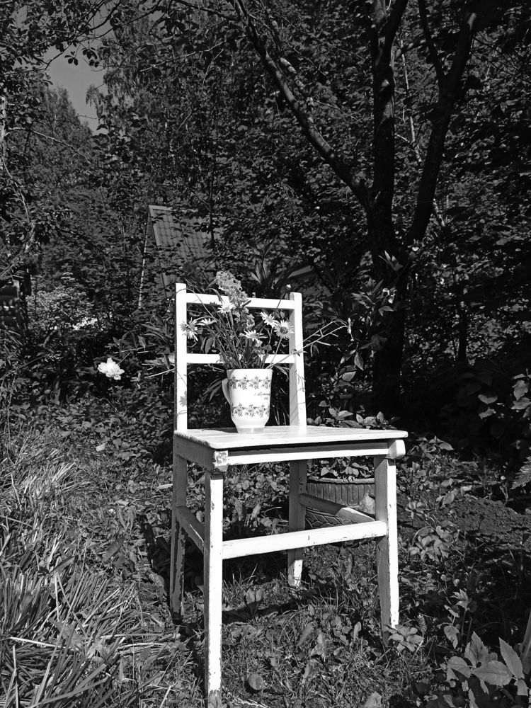 Фотография автора Юлия Сурина