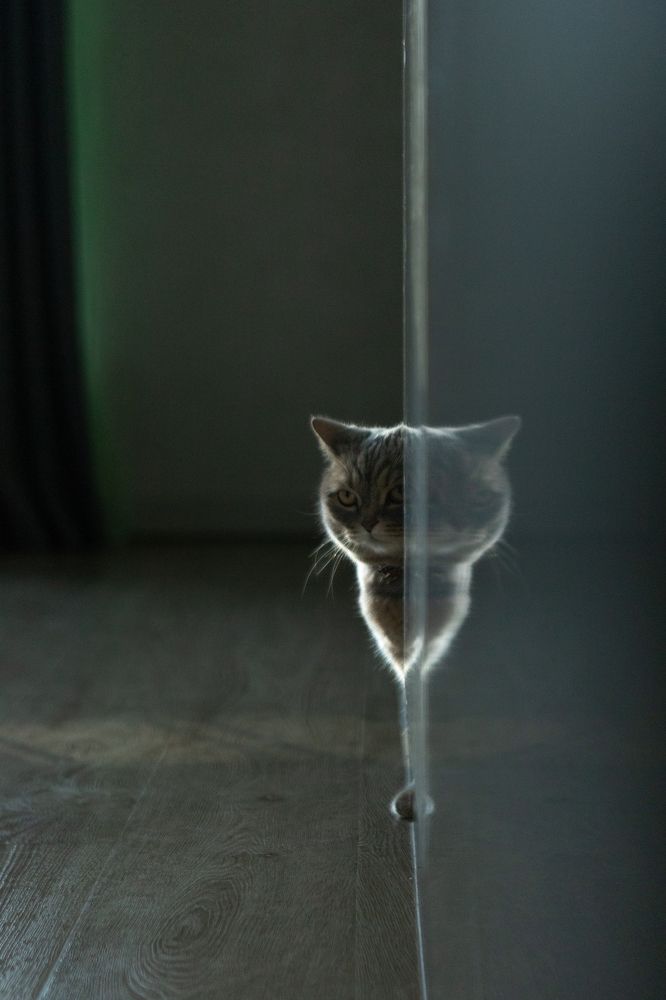 Photograph by Наталья Житинева