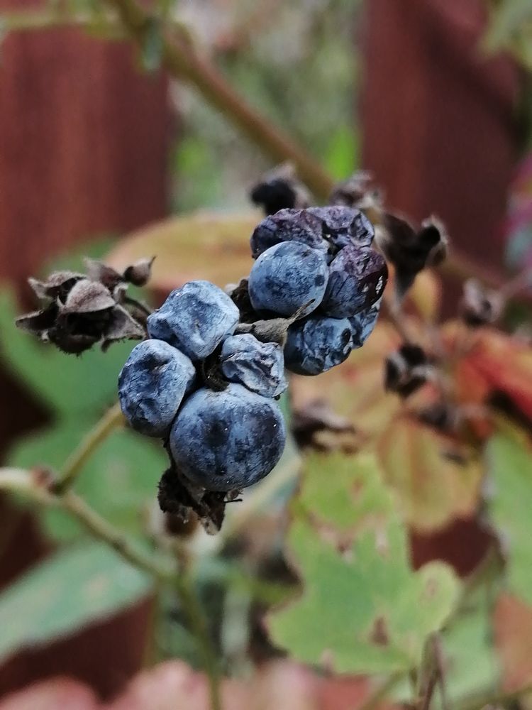 Photograph by Александра Зиновьева