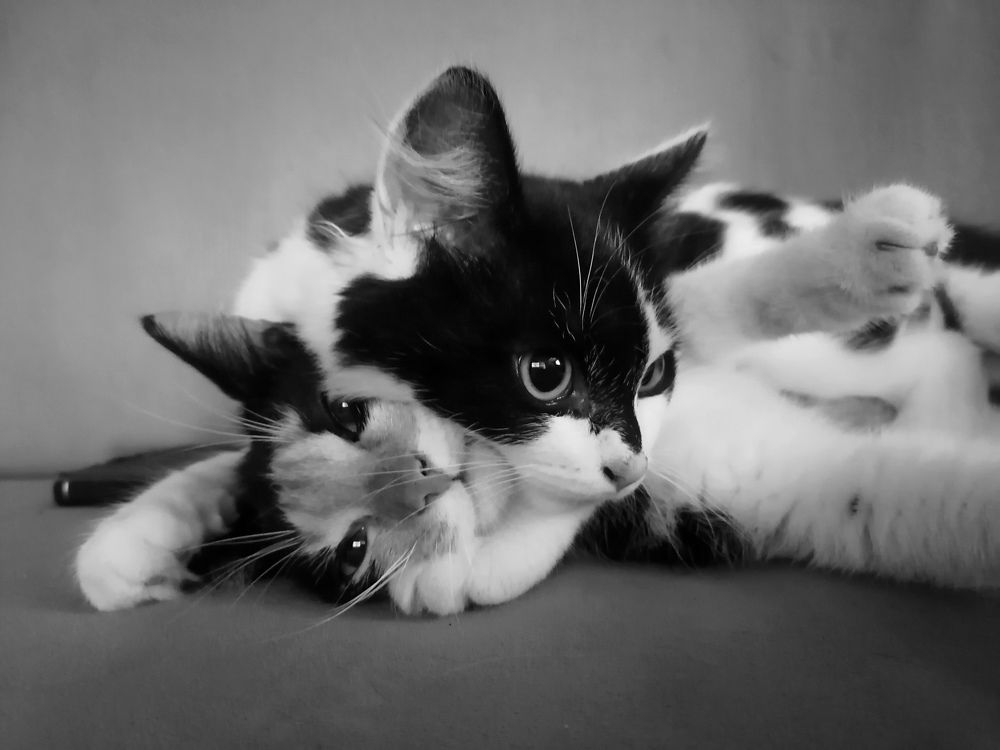 Фотография автора Наталья Кабульдинова