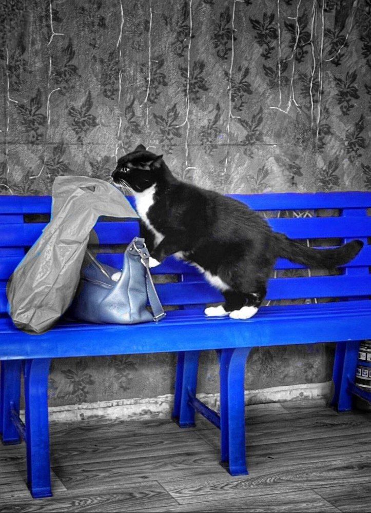 Photograph by Екатерина Козлова