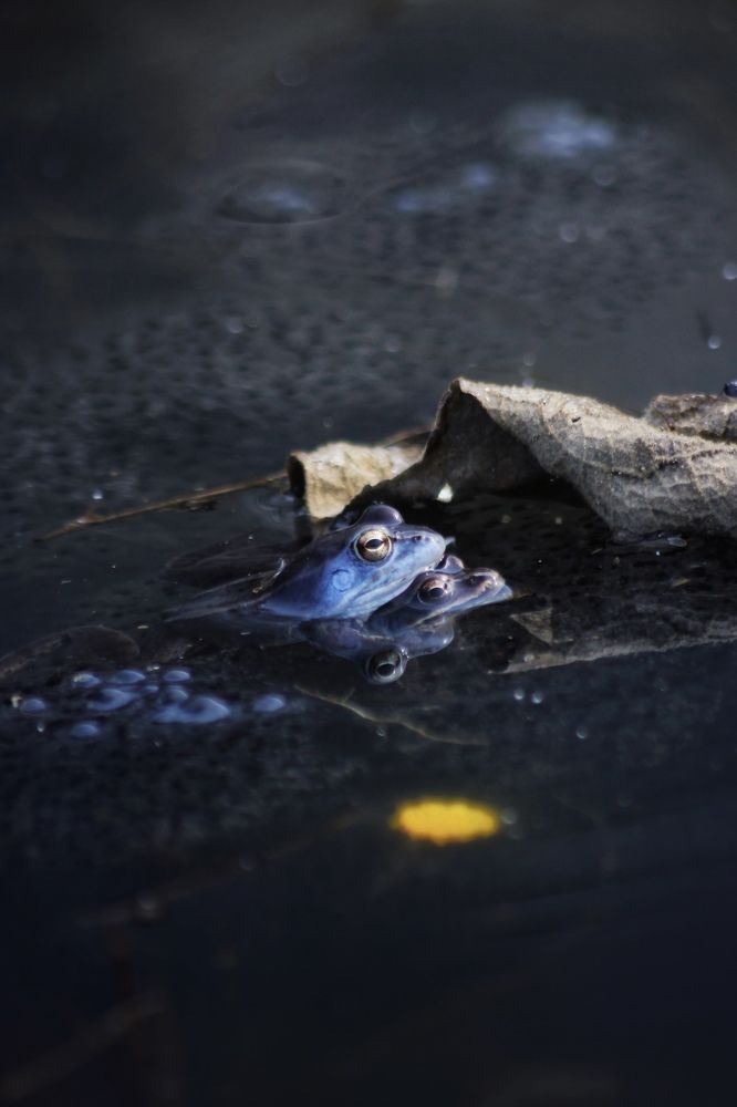 Photograph by Астафьева Анастасия