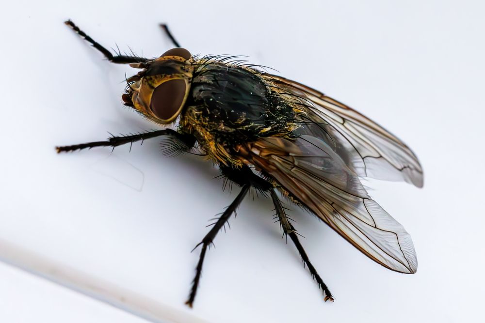 Photograph by Сергей Шестов