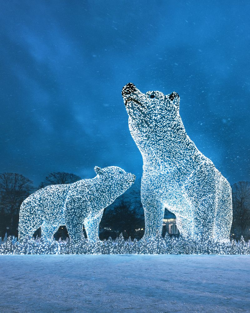 Фотография автора Анастасия Мазурева