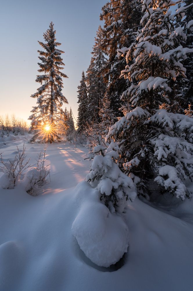 Photograph by Алексей Турчин