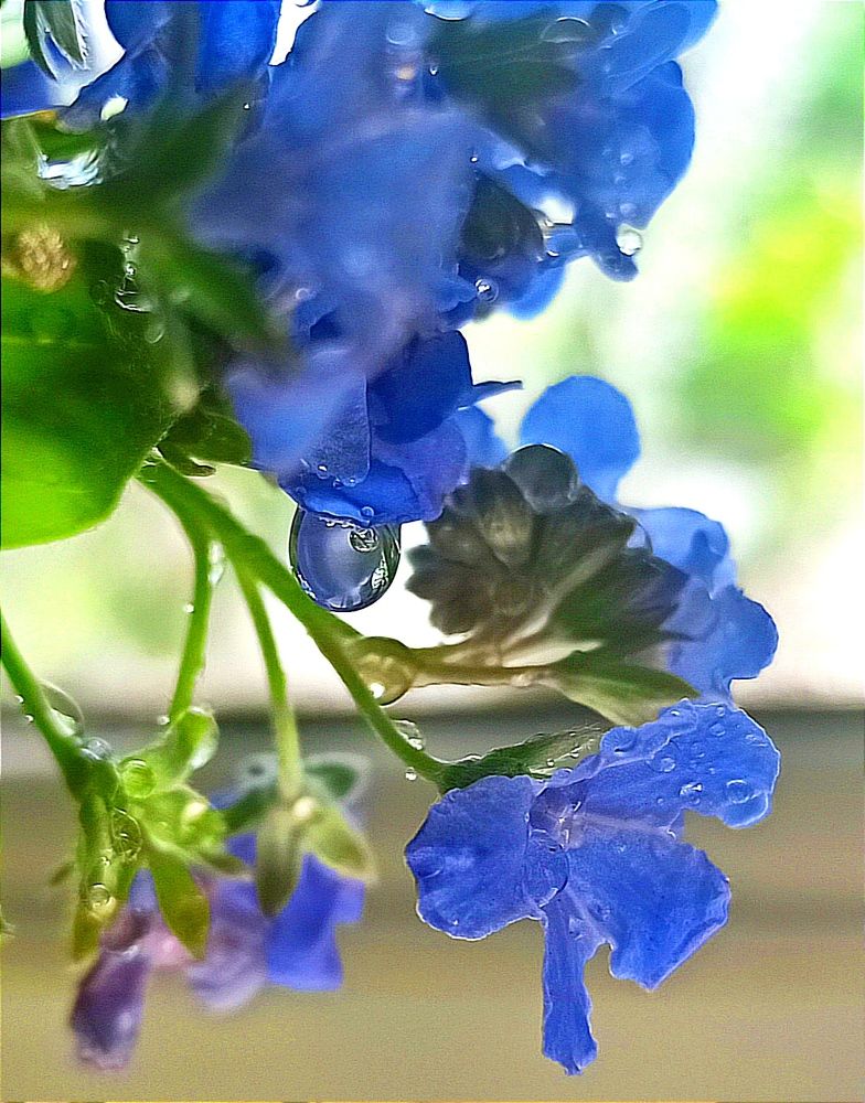 Photograph by Ольга Тихонова