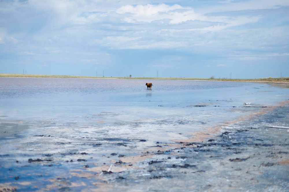 Photograph by Наталья Житинева