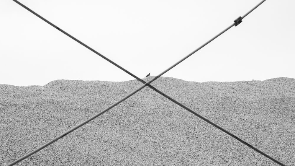 Photograph by seyed mostafa yousefi