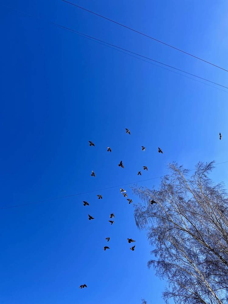 Фотография автора Nadezhda