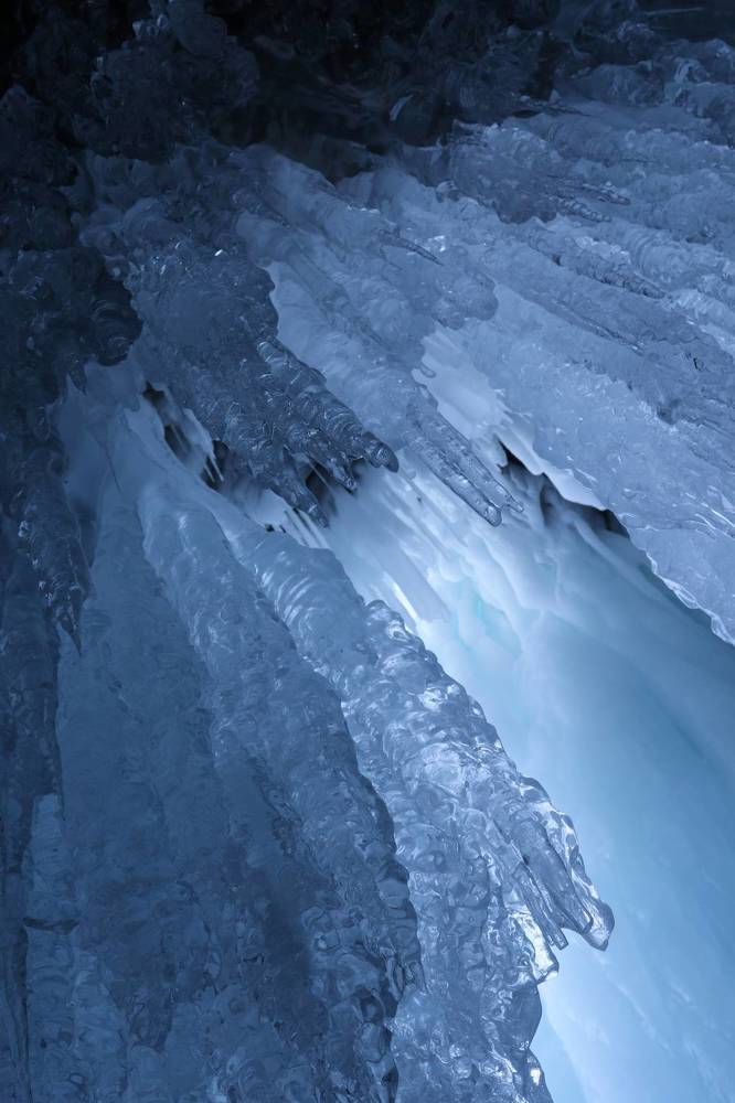 Фотография автора Колосова Елена